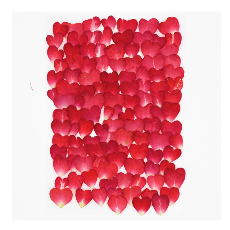 Resin Art Rose Petals - 120個入りバラの花びらミックスパック、ドライフラワー、押し花、手作りレジンデコレーション、ネイルアート、フェイスステッカー、スマホケース素材