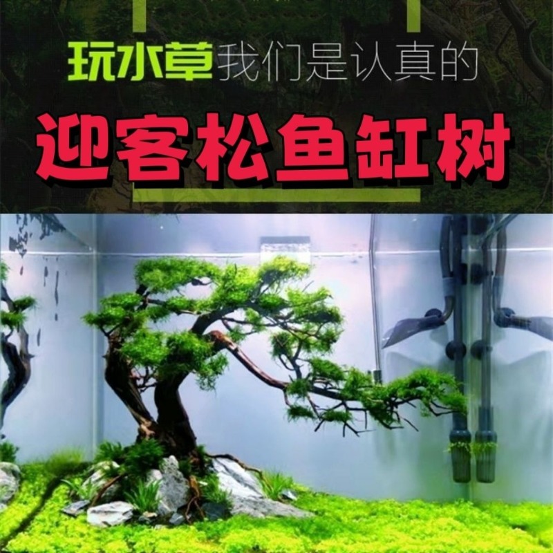 プロ仕様のエコフレンドリーな木製流木アートフラワーベース、水 - Resin Art With Wood のレビューと価格