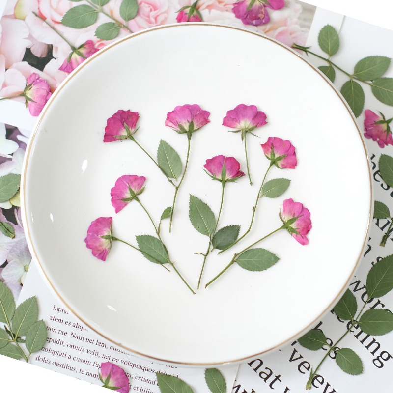 12個入り、本物のミニローズ押し花ピンクの乾燥バラの花びらD - Resin Art Rose Petals のレビューと価格