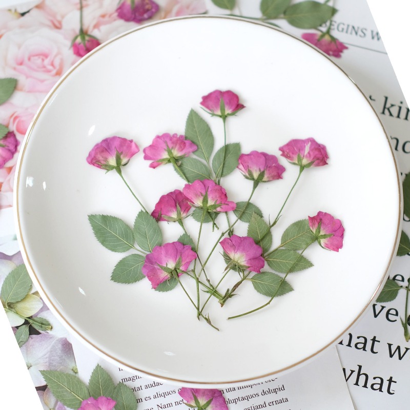 12個入り、本物のミニローズ押し花ピンクの乾燥バラの花びらD - Resin Art Rose Petals のレビューと価格