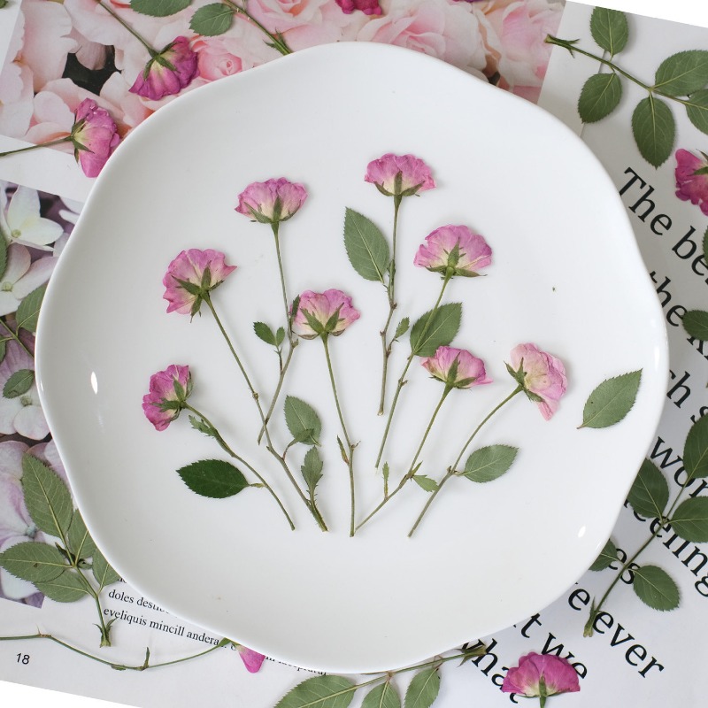 12個入り、本物のミニローズ押し花ピンクの乾燥バラの花びらD - Resin Art Rose Petals のレビューと価格
