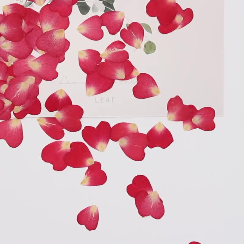 120個入りバラの花びらミックスパック、ドライフラワー、押し - Resin Art Rose Petals のレビューと価格