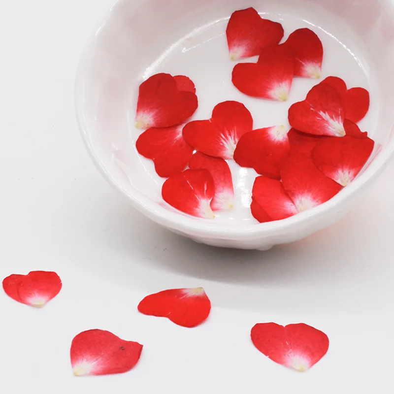本物の天然圧縮ハートの花の花びら、ミニドライプレスのバラの花 - Resin Art Rose Petals のレビューと価格