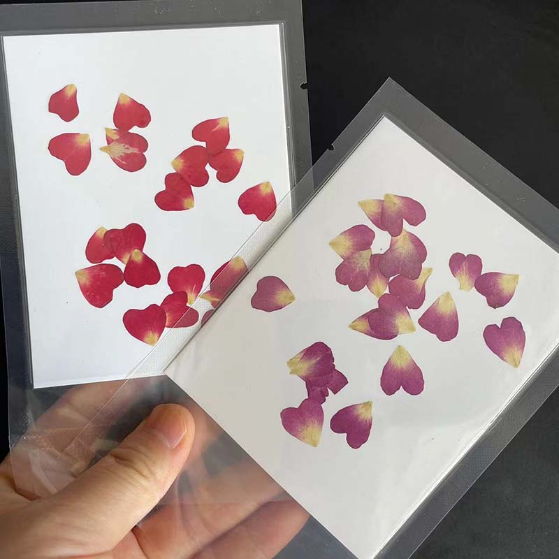 本物の天然圧縮ハートの花の花びら、ミニドライプレスのバラの花 - Resin Art Rose Petals のレビューと価格