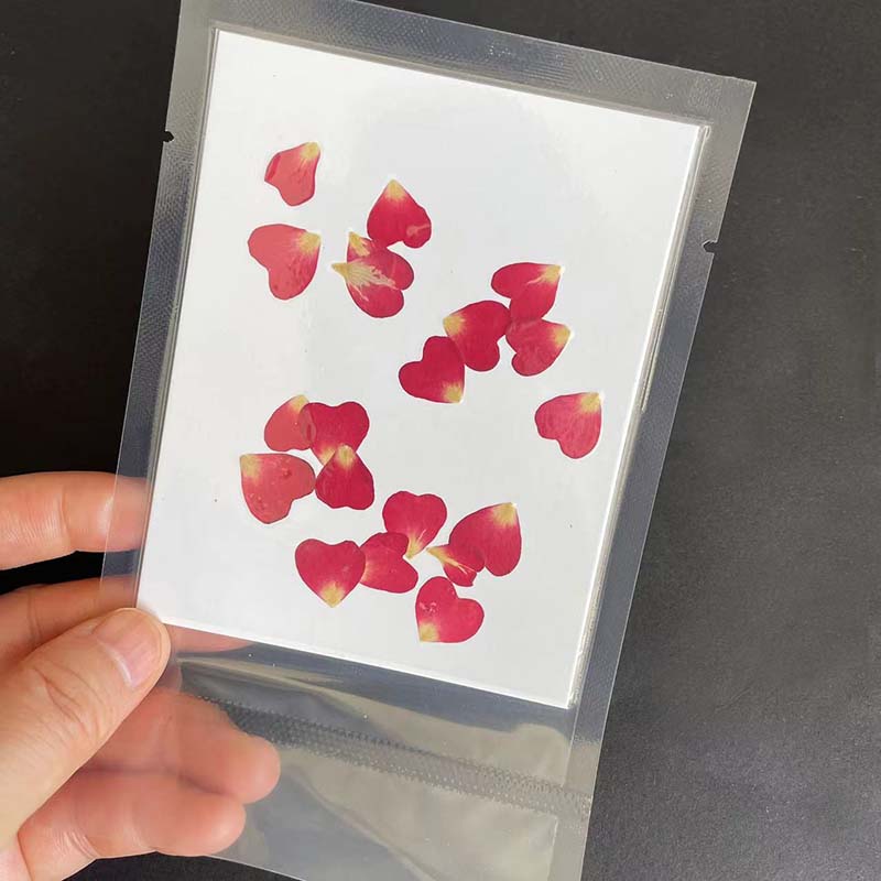 本物の天然圧縮ハートの花の花びら、ミニドライプレスのバラの花 - Resin Art Rose Petals のレビューと価格
