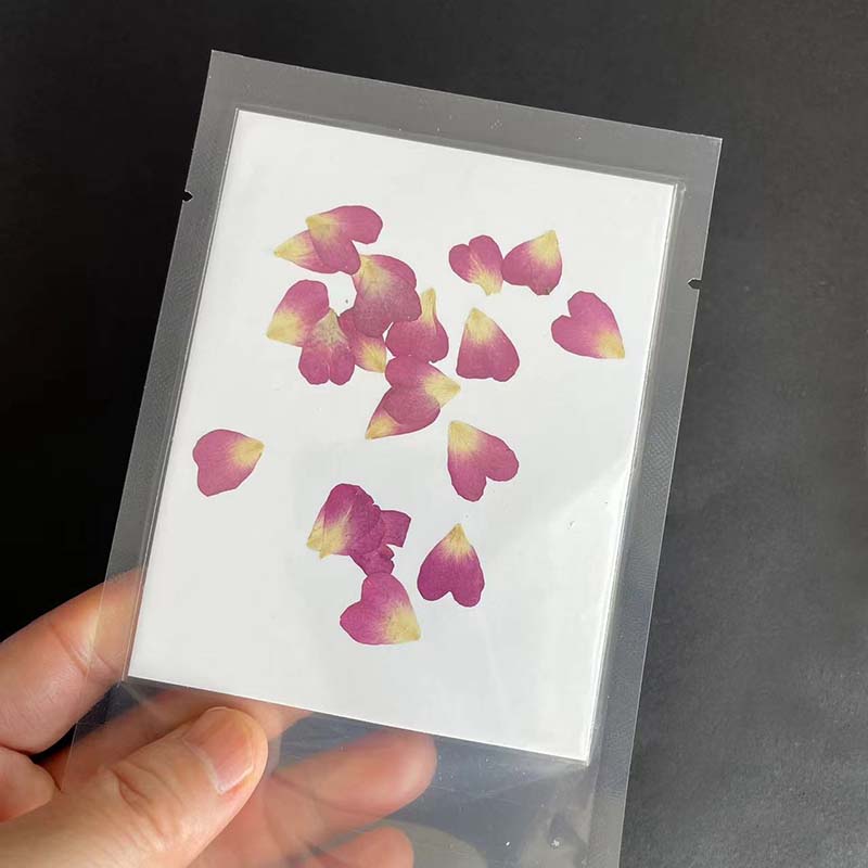 本物の天然圧縮ハートの花の花びら、ミニドライプレスのバラの花 - Resin Art Rose Petals のレビューと価格