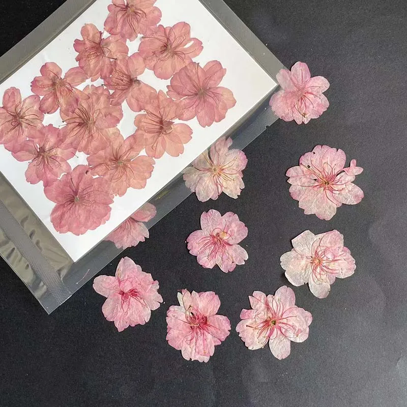 ジュエリー作り用の本物の天然ドライプレスの花びら,3-4.5 - Resin Art Rose Petals のレビューと価格