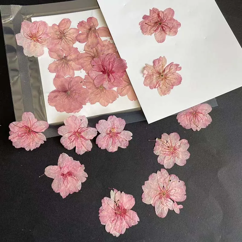 ジュエリー作り用の本物の天然ドライプレスの花びら,3-4.5 - Resin Art Rose Petals のレビューと価格