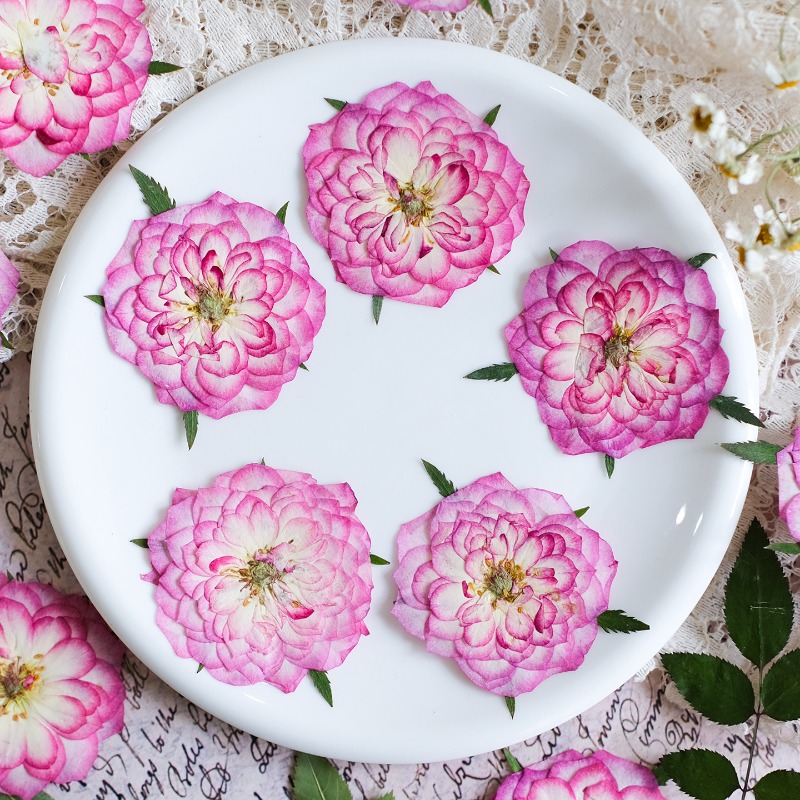 6個入り、天然バラ蓮押し花、本物の花びら、DIY樹脂ブックマ - Resin Art Rose Petals のレビューと価格