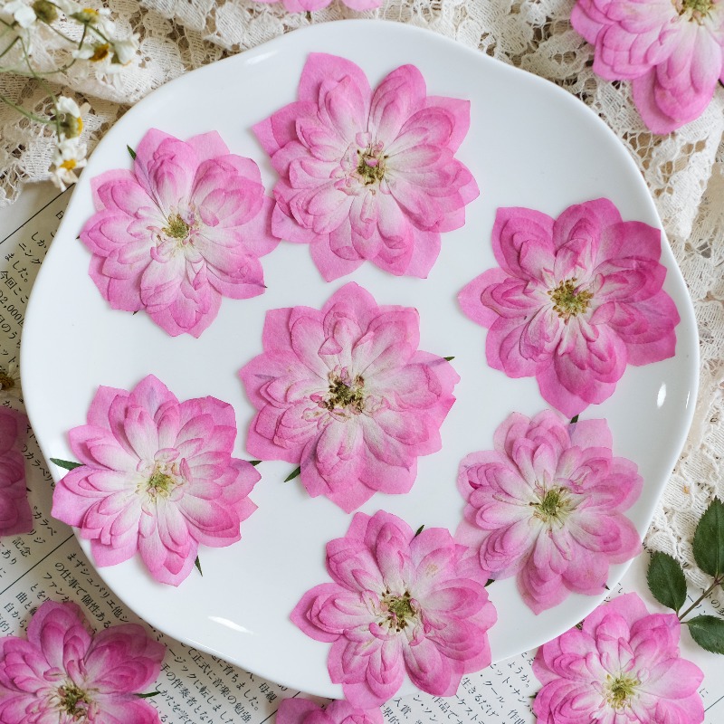6個入り、天然バラ蓮押し花、本物の花びら、DIY樹脂ブックマ - Resin Art Rose Petals のレビューと価格